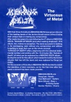 Promotional Flyer (back)